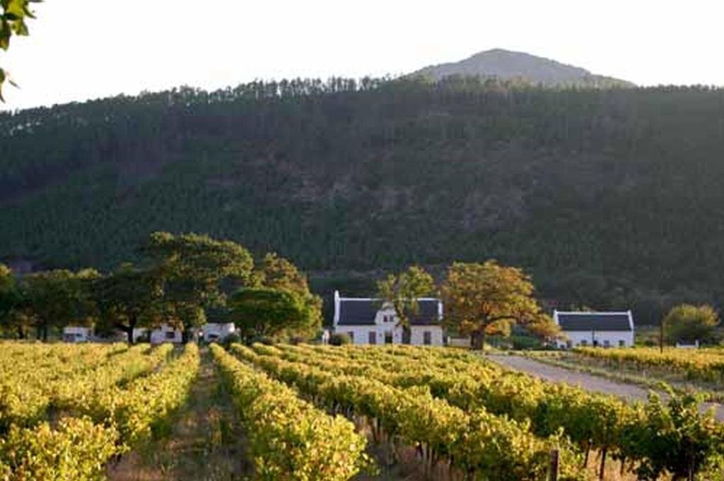 Basse Provence Country House Acomodação com café da manhã Franschhoek Exterior foto