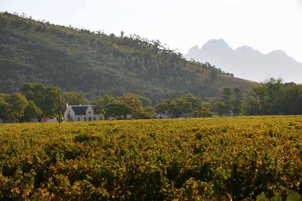 Basse Provence Country House Acomodação com café da manhã Franschhoek Exterior foto