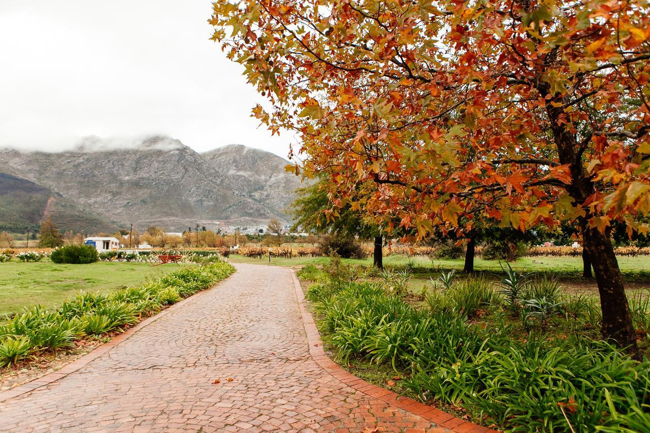 Basse Provence Country House Acomodação com café da manhã Franschhoek Exterior foto